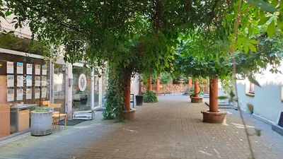 Bentur. Biuro Podróży